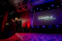 iesawards-188