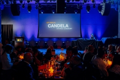 iesawards-75